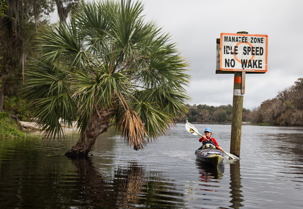 Abby at the beginning of her quest to find manatee at Blue Springs State Park.