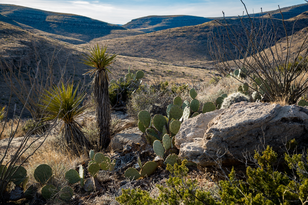 Carlsbad Caverns National Park