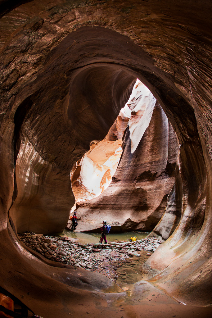 Pinecreek Canyon, Zion Nataional Park, Slotcanyon, Utah, 